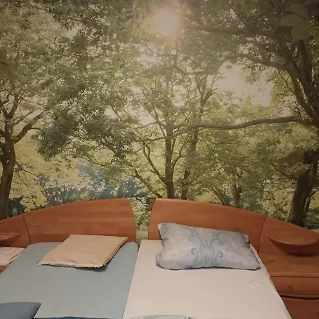 Vakantiehuis With 3 Bedrooms