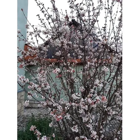 With 3 Bedrooms Vakantiehuis *