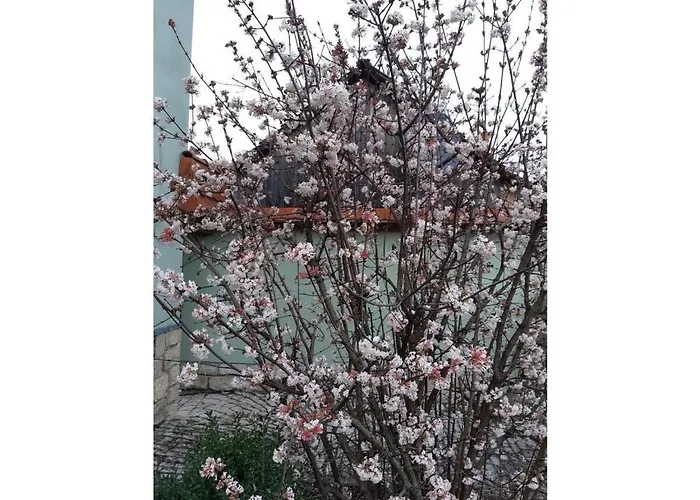 With 3 Bedrooms Vakantiehuis *